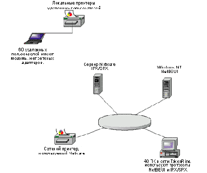   (LAN)