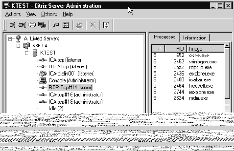      Citrix Server Administration